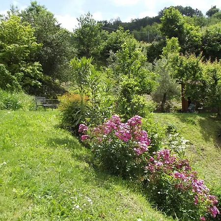 Brasino Appartement *