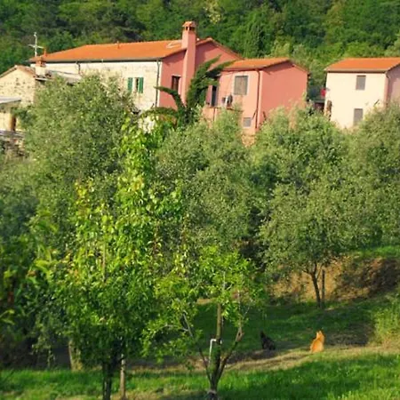 Brasino