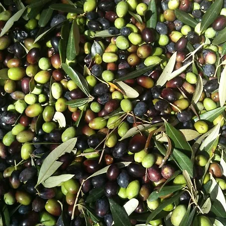 Apartament Brasino Fosdinovo