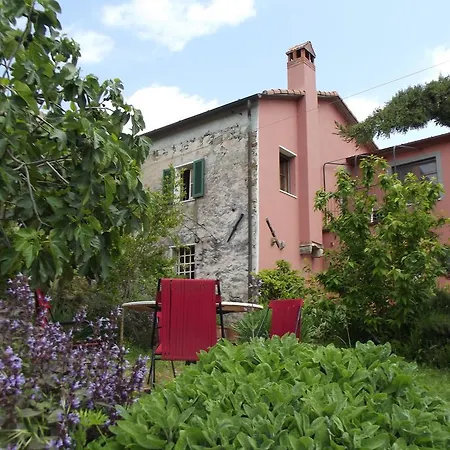 Brasino Apartament *